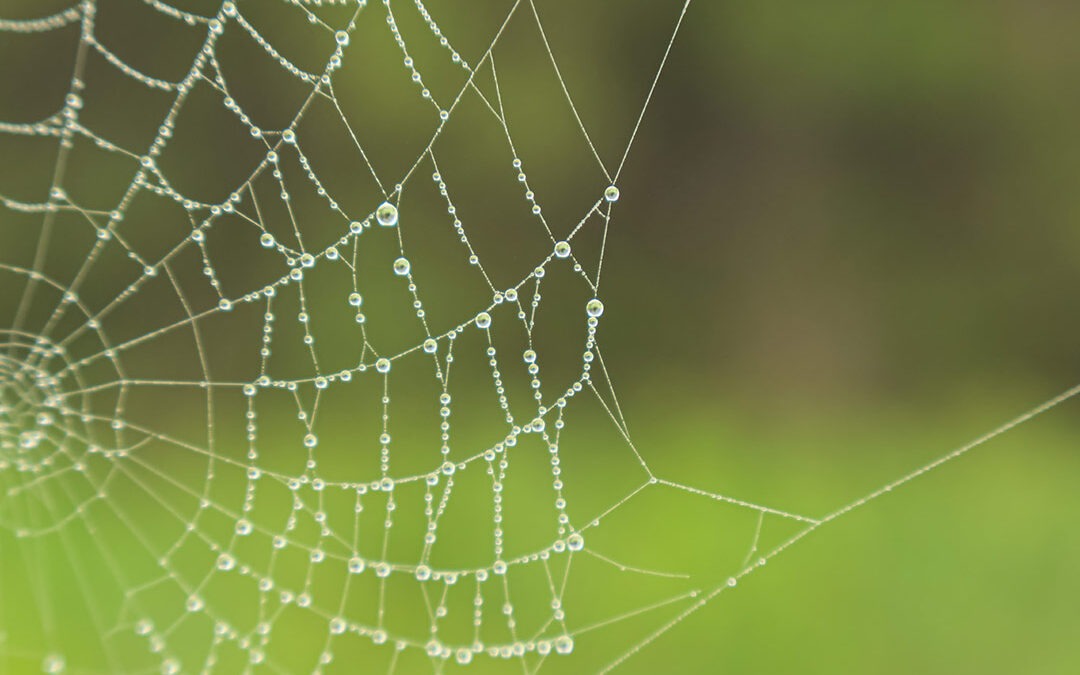 Advice on choosing the right company structure